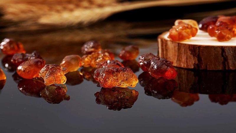 Tìm hiểu công dụng truyền thống của cây đào trong y học dân gian và làm đẹp da
